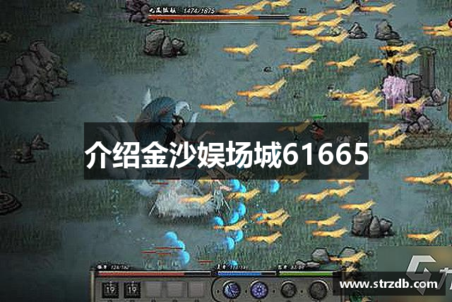 介绍金沙娱场城61665